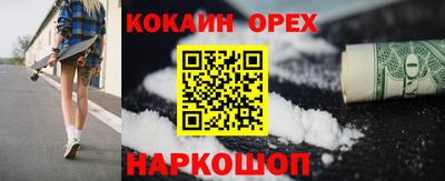 гашик Гай