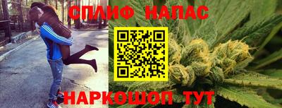 гашик Гай
