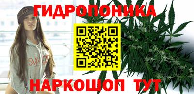 гашик Гай