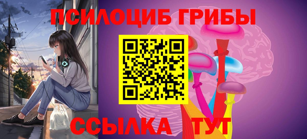 купить наркоту  Псилоцибиновые грибы ЛСД  Вход с VPN  Ефремов  Псилоцибиновые грибы Magic Shrooms 